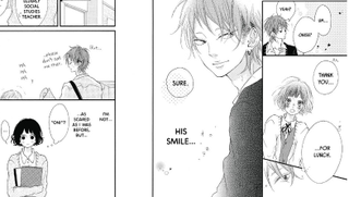 Illustration for article titled Honey So Sweet Vol. 1 - Manga Review